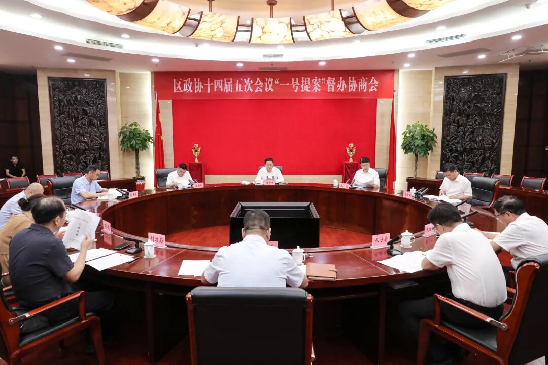 昨政协提案 宋协培摄2.jpg