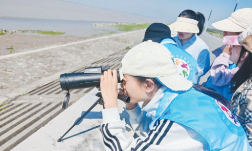 图片 11.png
